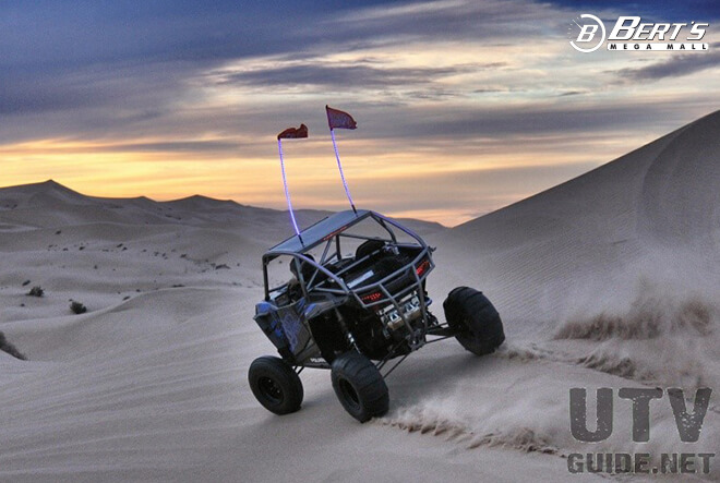 Custom UTV for sale